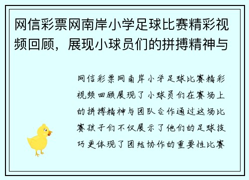 网信彩票网南岸小学足球比赛精彩视频回顾，展现小球员们的拼搏精神与团队合作