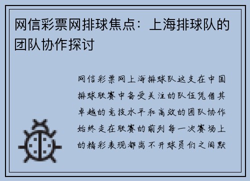 网信彩票网排球焦点：上海排球队的团队协作探讨