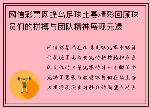 网信彩票网蜂鸟足球比赛精彩回顾球员们的拼搏与团队精神展现无遗