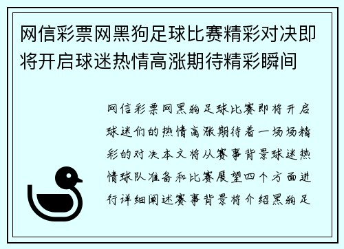 网信彩票网黑狗足球比赛精彩对决即将开启球迷热情高涨期待精彩瞬间