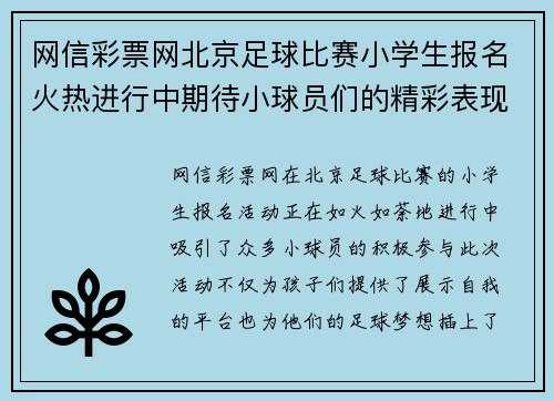 网信彩票网北京足球比赛小学生报名火热进行中期待小球员们的精彩表现