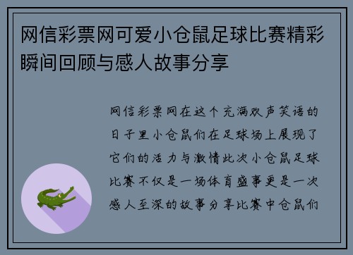 网信彩票网可爱小仓鼠足球比赛精彩瞬间回顾与感人故事分享