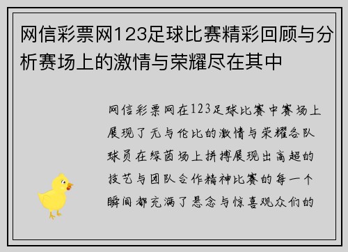 网信彩票网123足球比赛精彩回顾与分析赛场上的激情与荣耀尽在其中